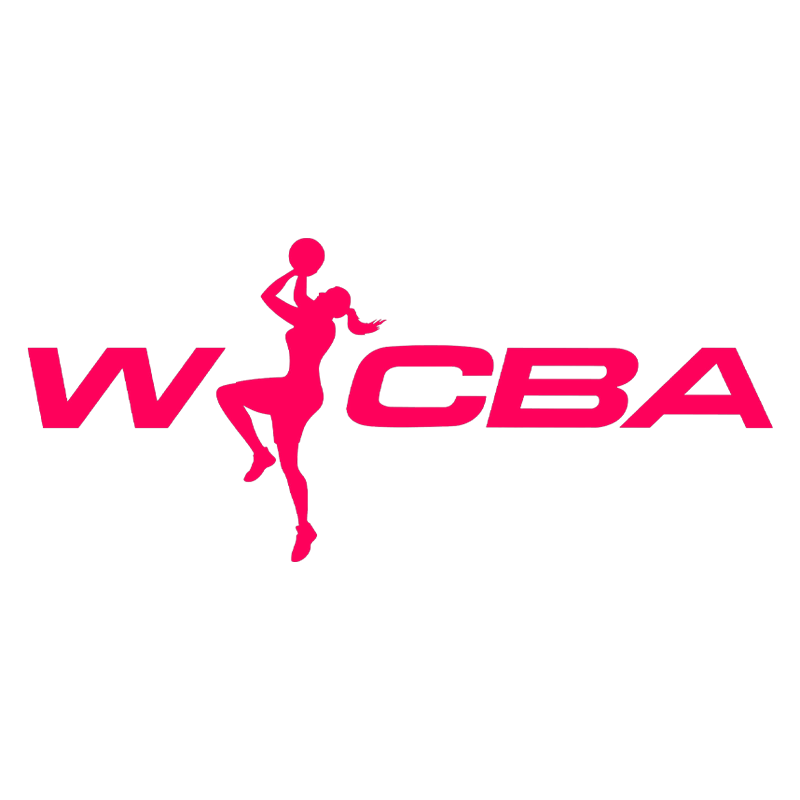 WCBA 北京首钢园vs四川蜀道远达20241224