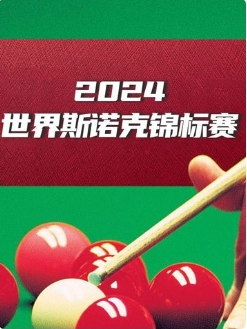 斯诺克国锦赛 徐思6-9丁俊晖20241110